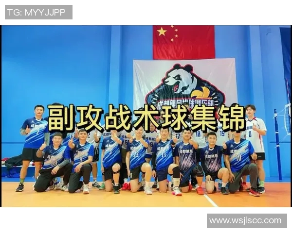 西安排球队反击战术解析与实战应用探讨